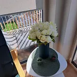 Rubus 305 Sofii