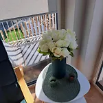 Apartment Rubus 305 Sofii