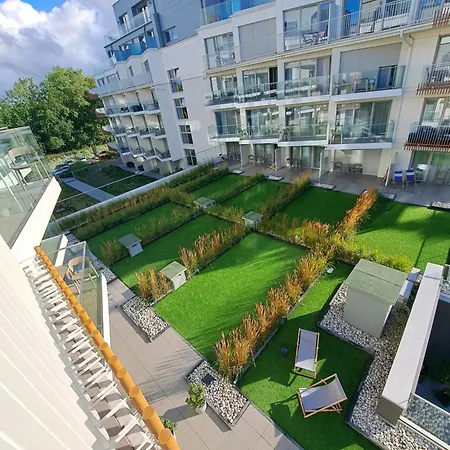 Rubus 305 Sofii سفينويتشي